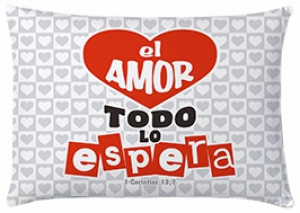  Cojin El Amor Todo Lo Espera 