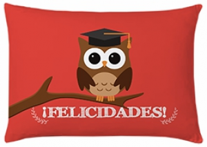  Cojin Graduado Felicidades 