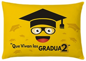  Cojin Que Vivan Los Gradua2 